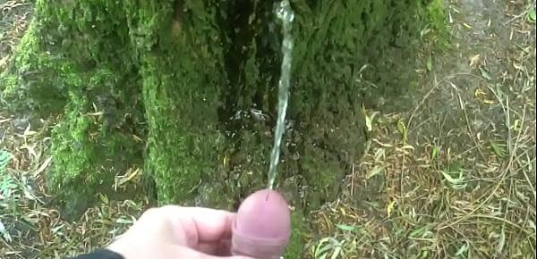  Man pissing on a tree